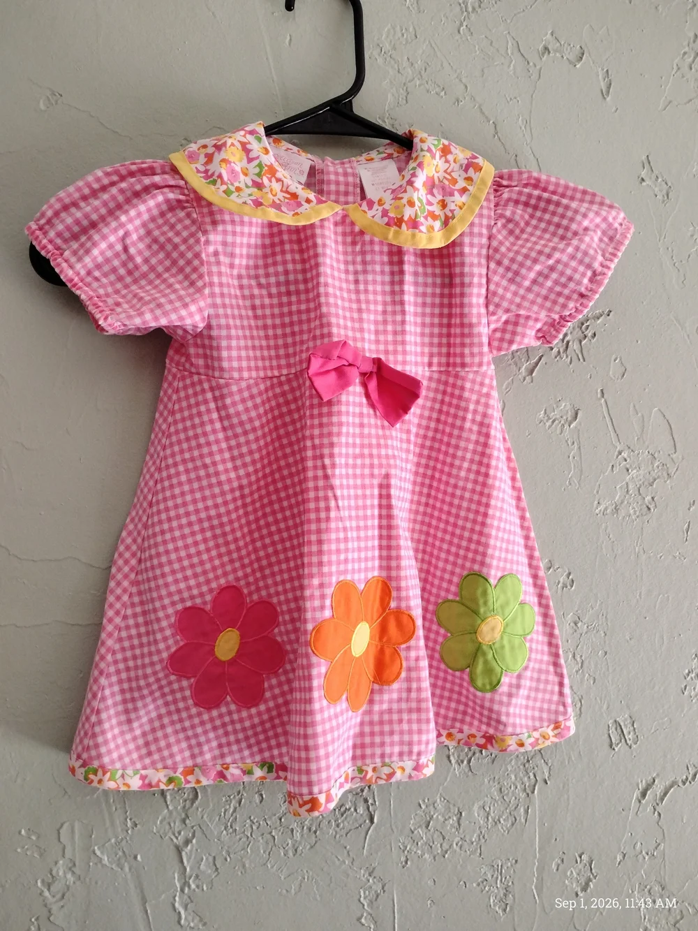 Allison Ann Pink Gingham Girls' Dress 2T